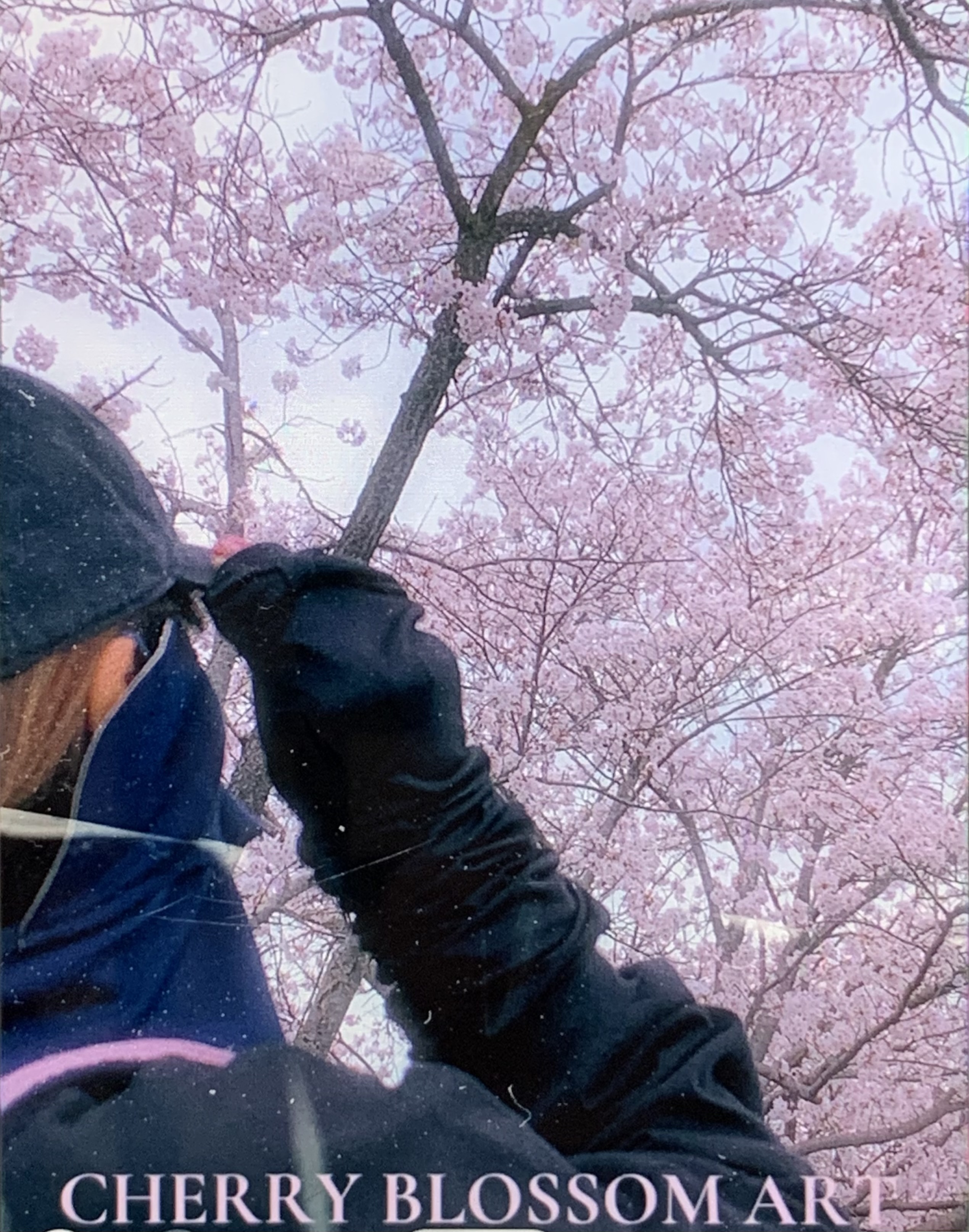 お花見も紫外線防止